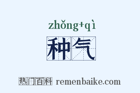种气是什么意思的图片
